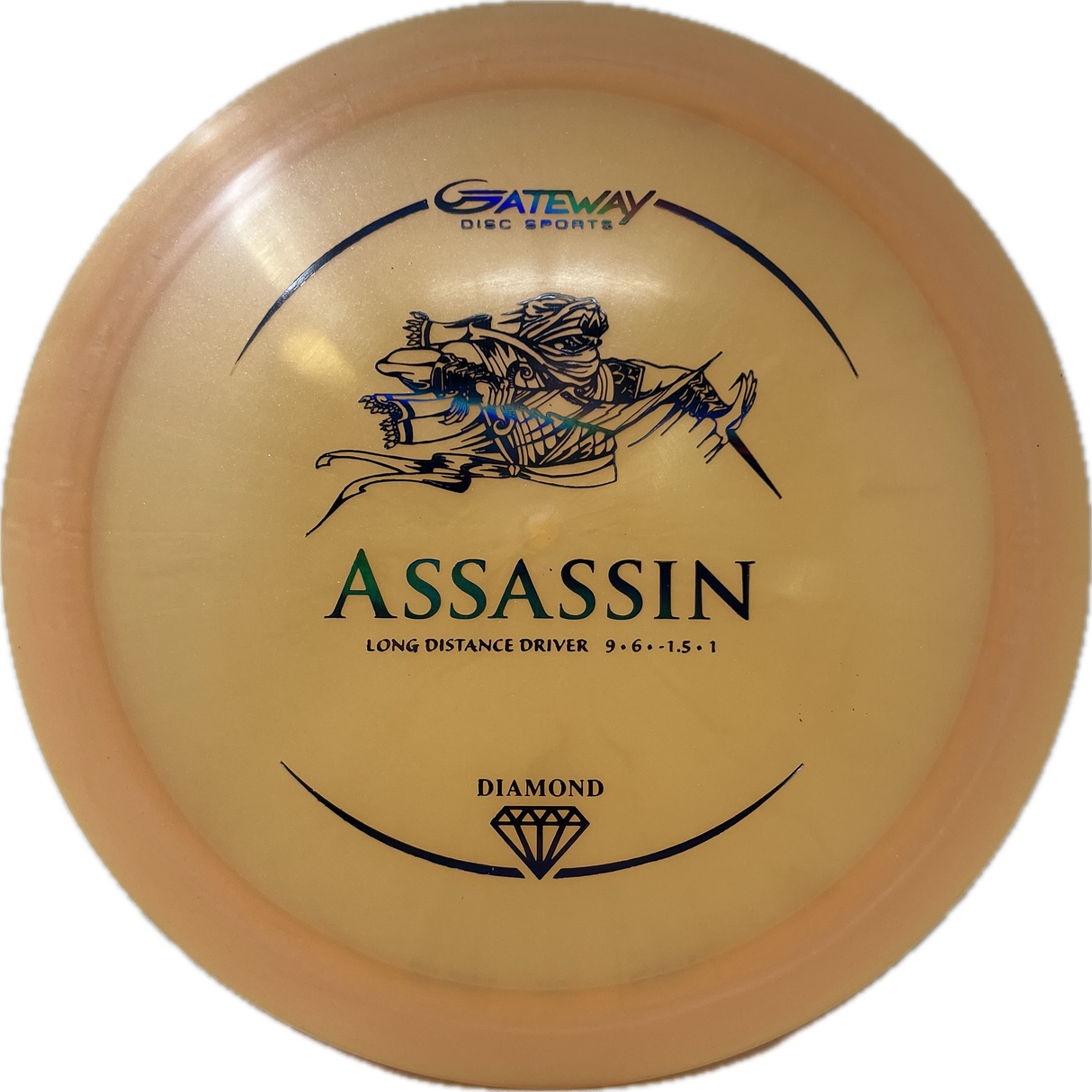 Assassin-Gateway-Foundation Disc Golf