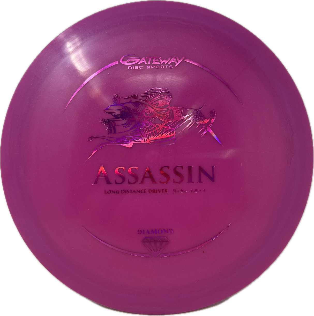 Assassin-Gateway-Foundation Disc Golf