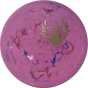 Darkhorse Jawbreaker Zone-Darkhorse Store-Foundation Disc Golf