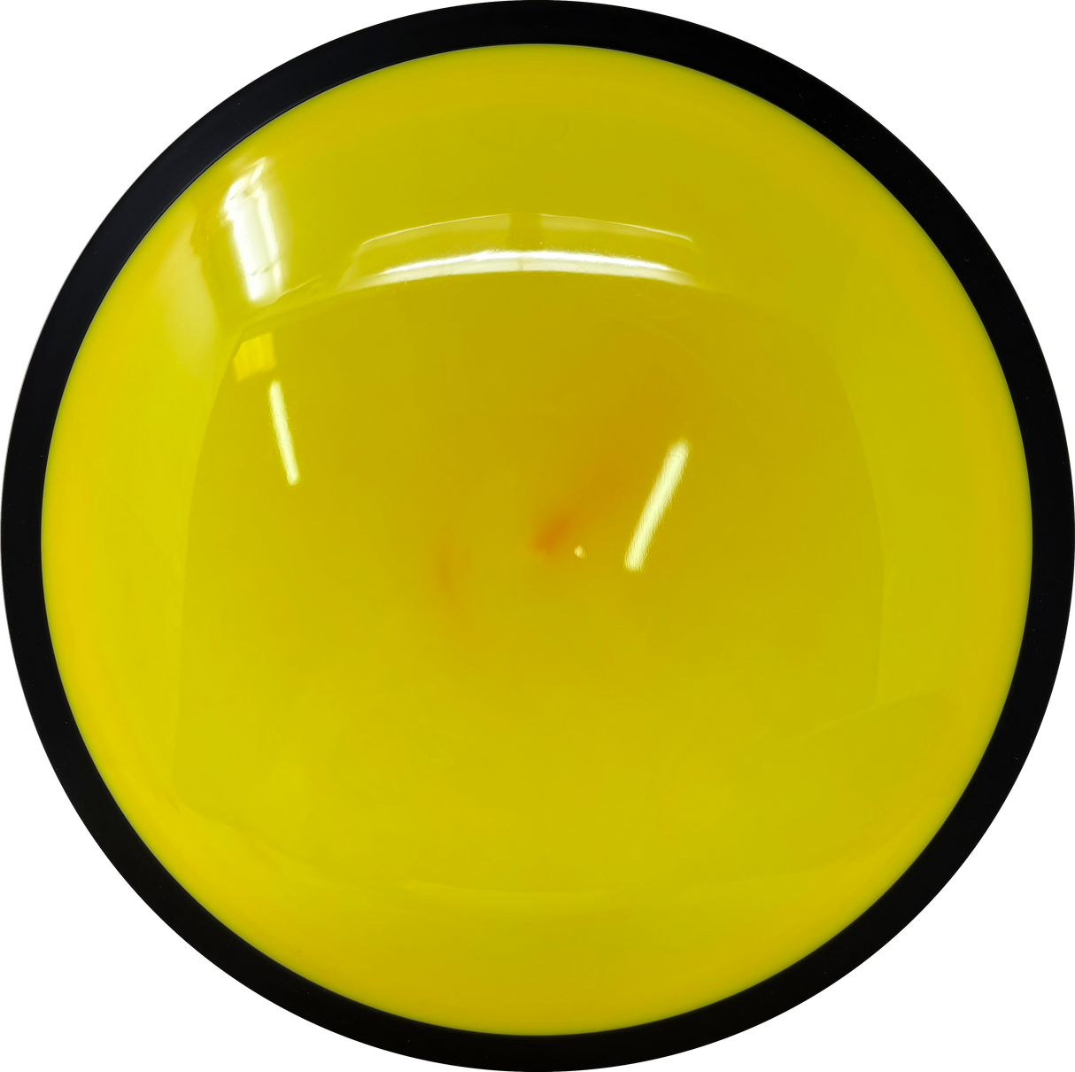 Trail-MVP-Foundation Disc Golf