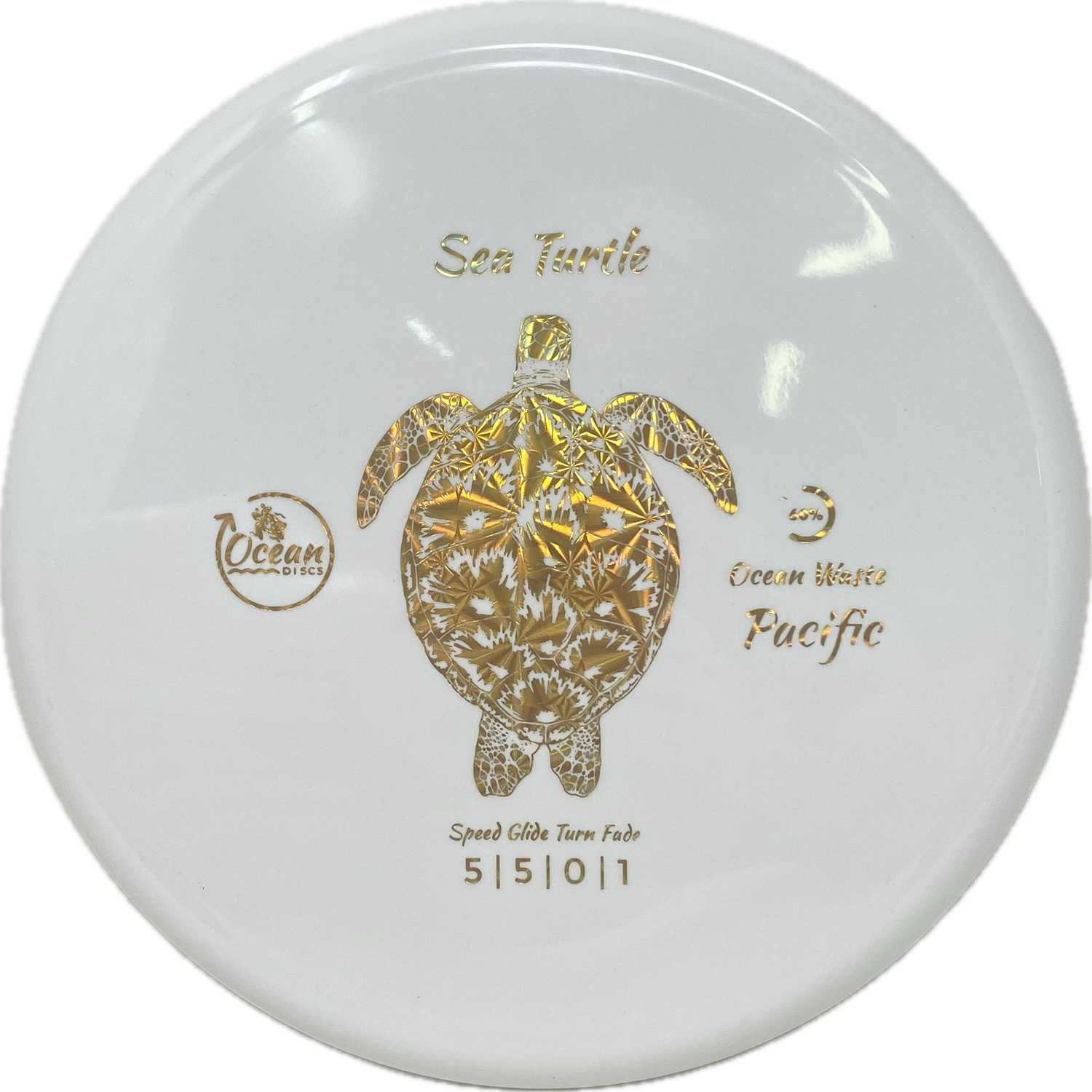 Sea Turtle