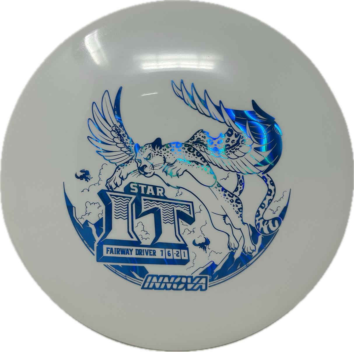 IT-Innova-Foundation Disc Golf