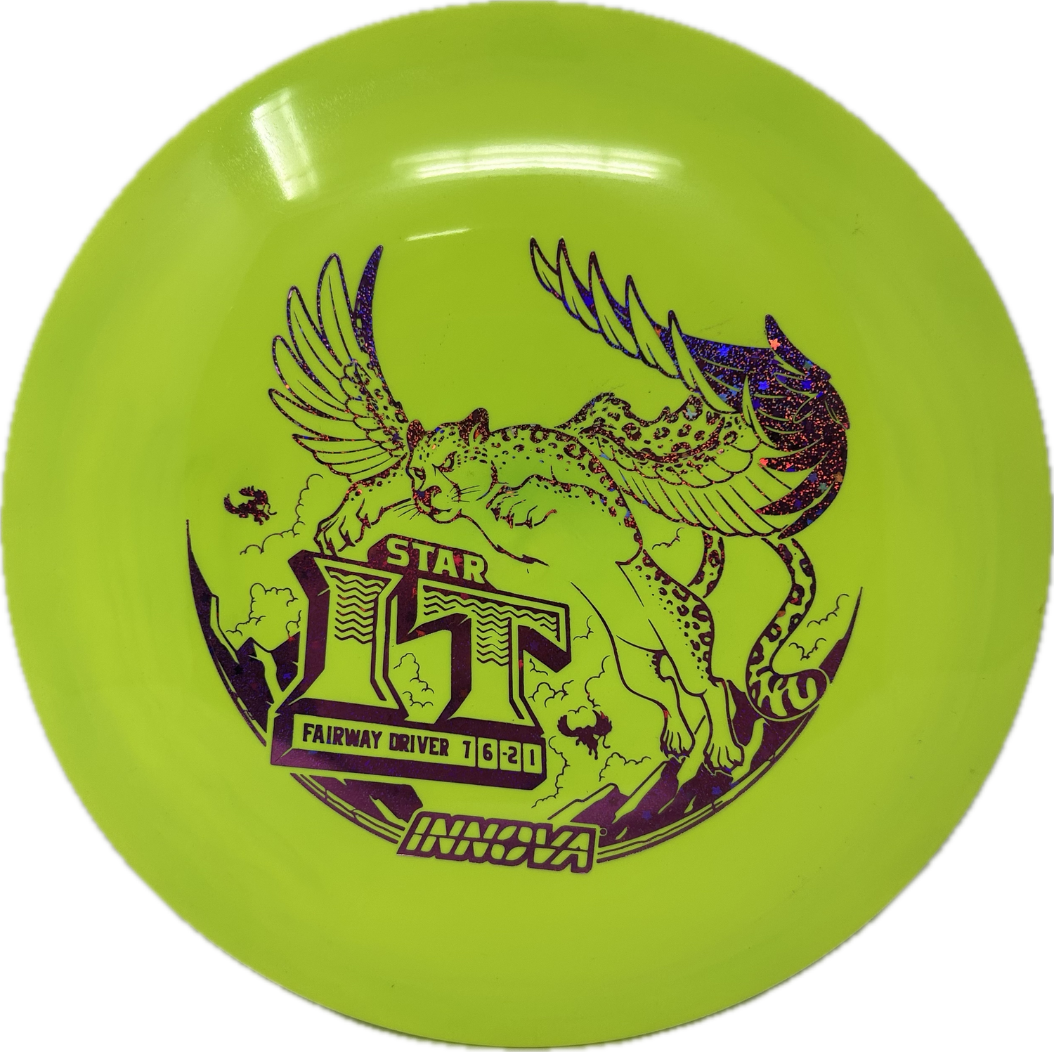 IT-Innova-Foundation Disc Golf