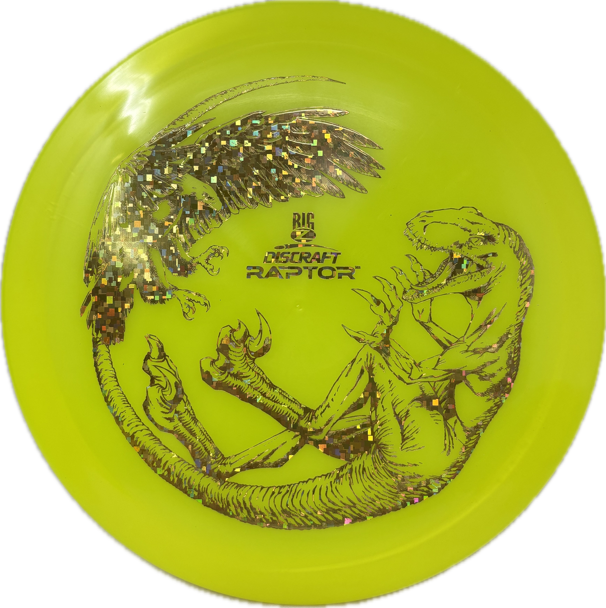 Raptor-Discraft-Foundation Disc Golf