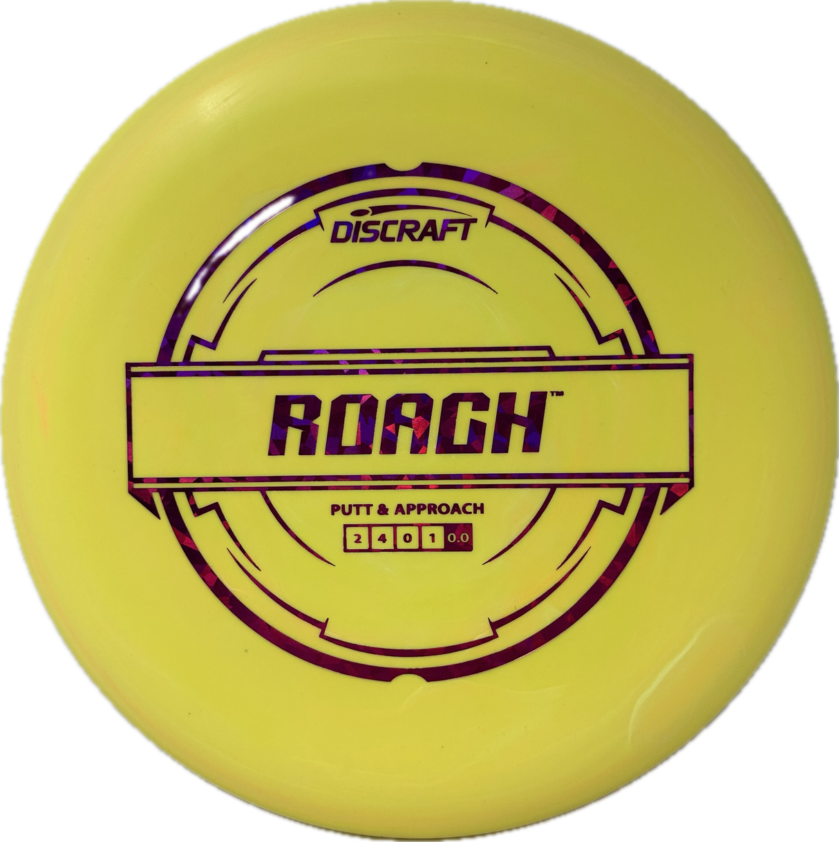 Roach-Discraft-Foundation Disc Golf