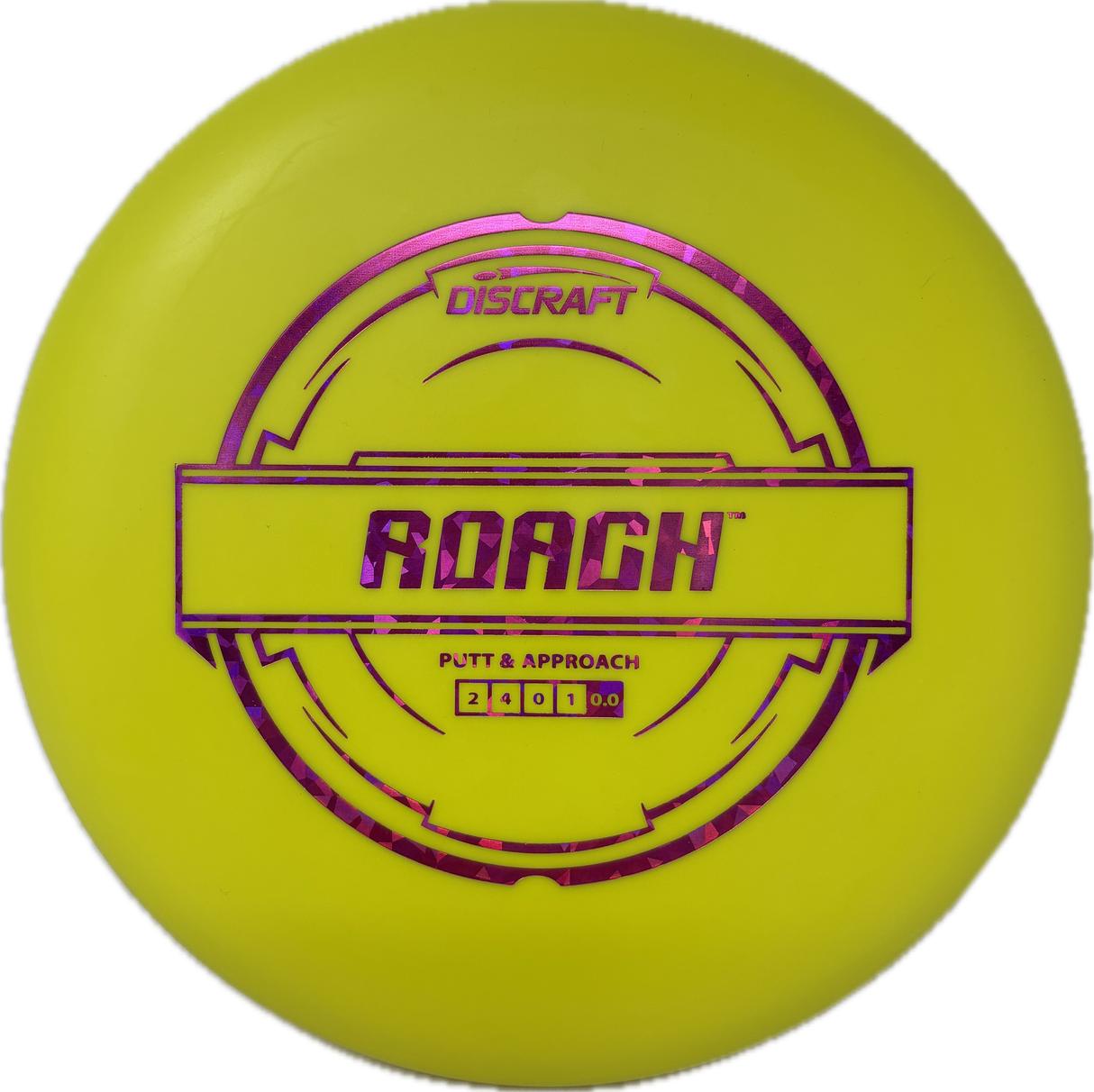 Roach-Discraft-Foundation Disc Golf