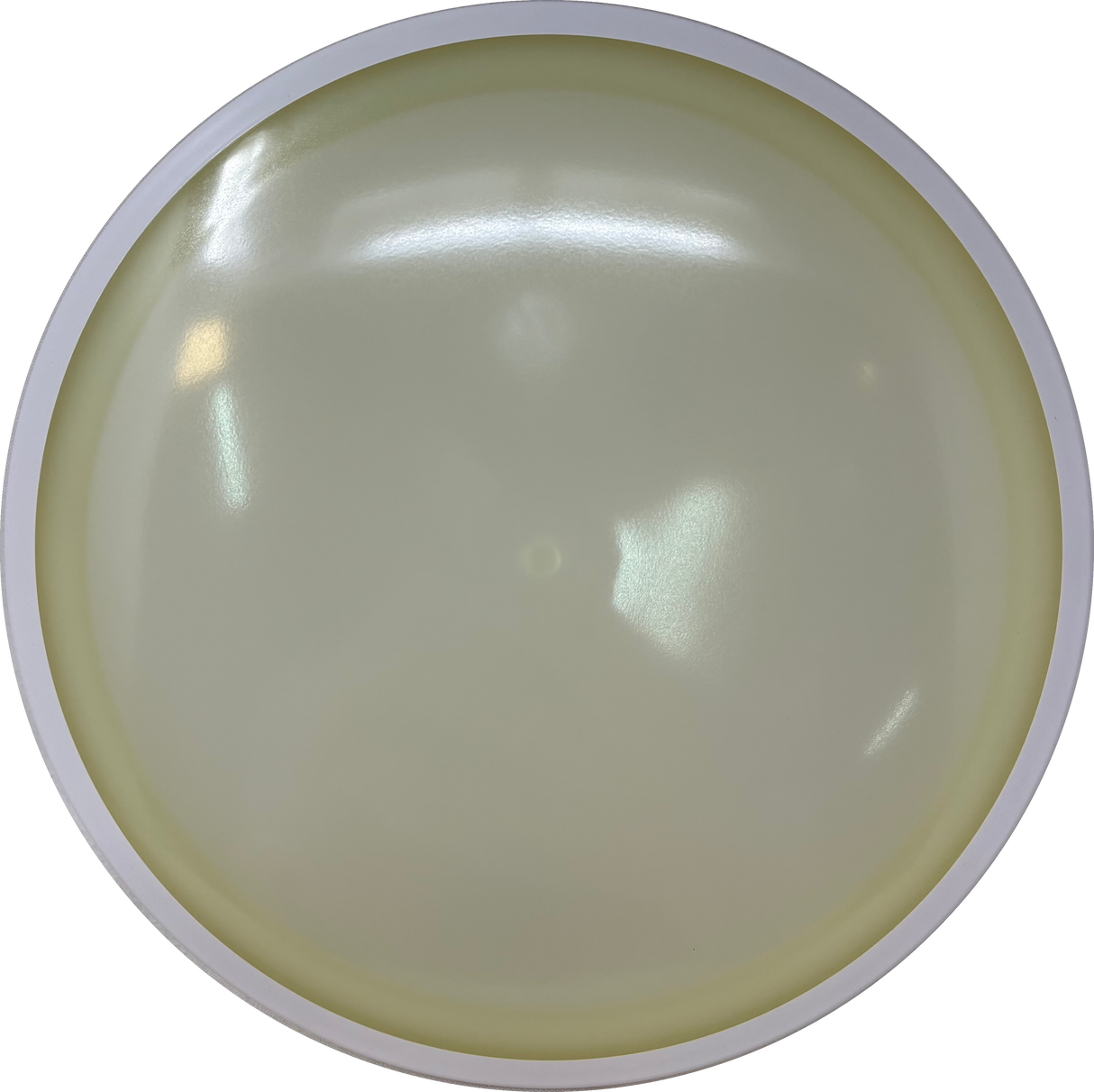 Servo-MVP-Foundation Disc Golf