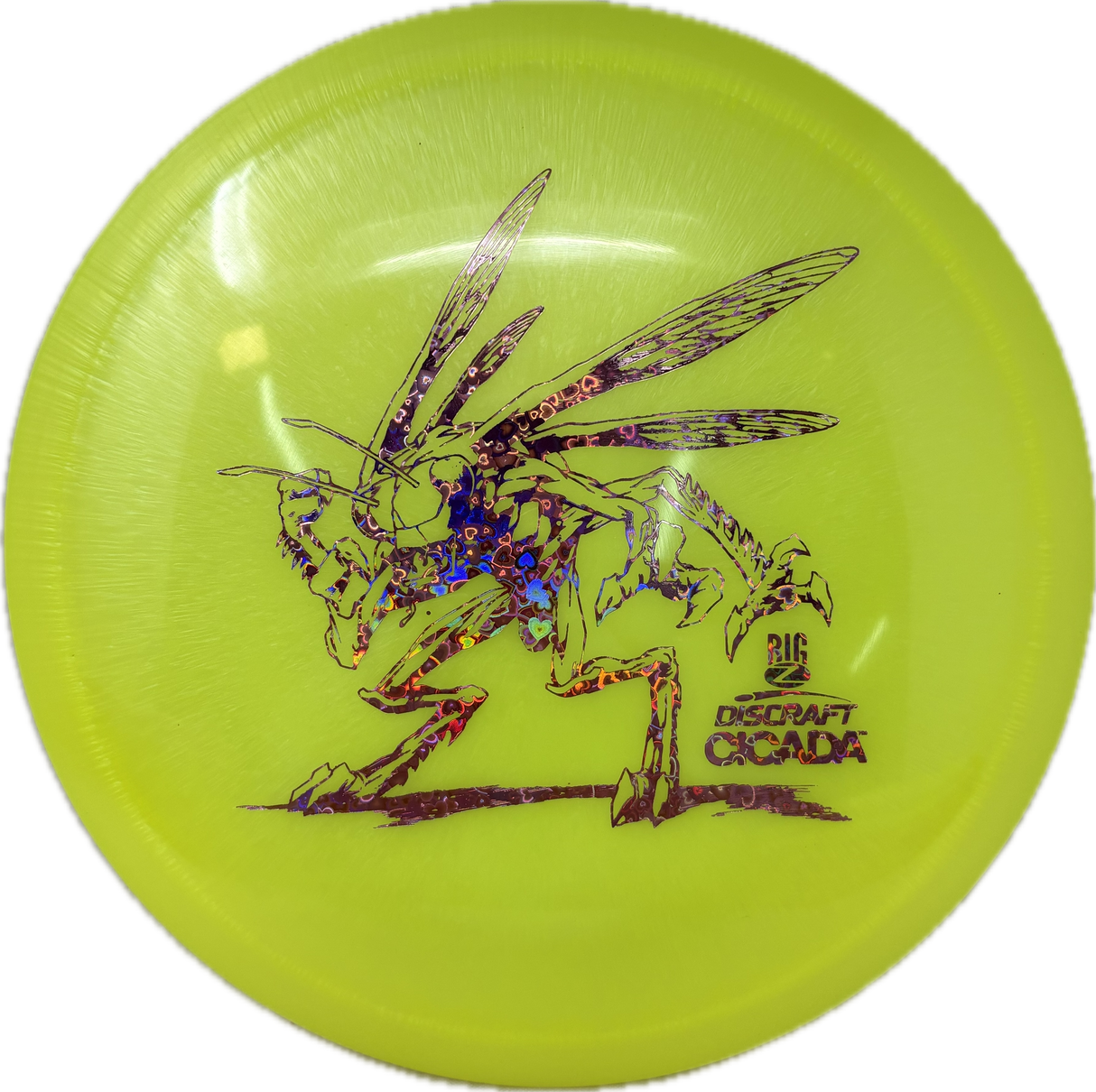 Cicada-Discraft-Foundation Disc Golf