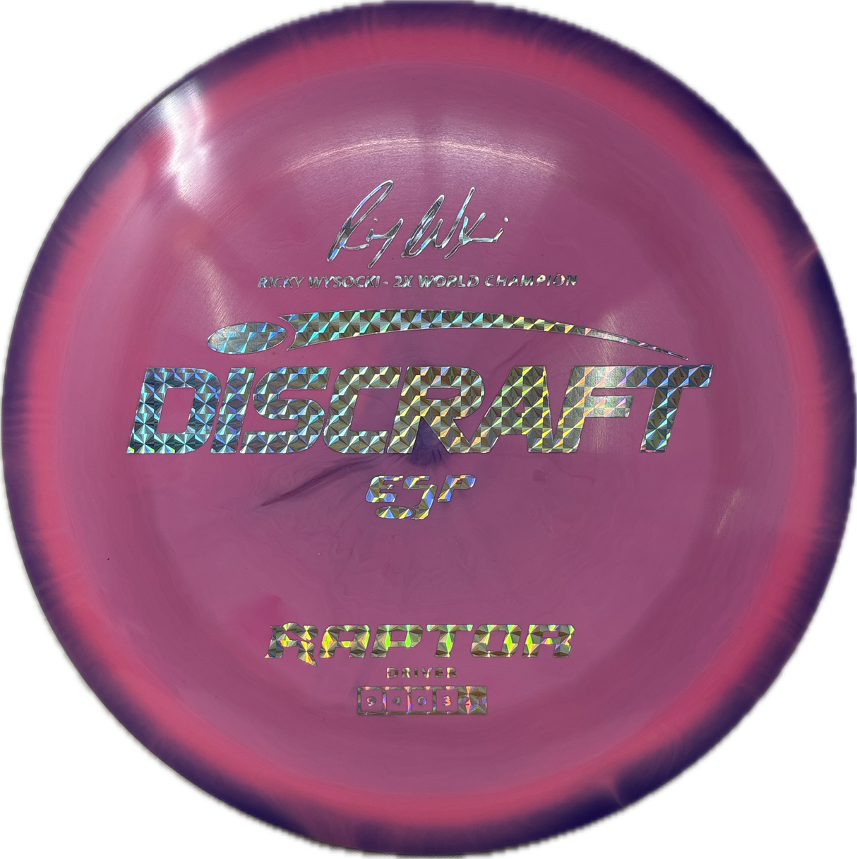 Raptor-Discraft-Foundation Disc Golf