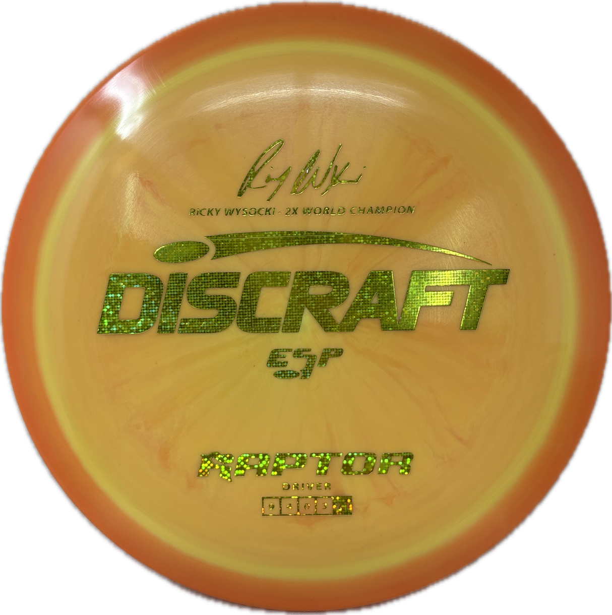 Raptor-Discraft-Foundation Disc Golf