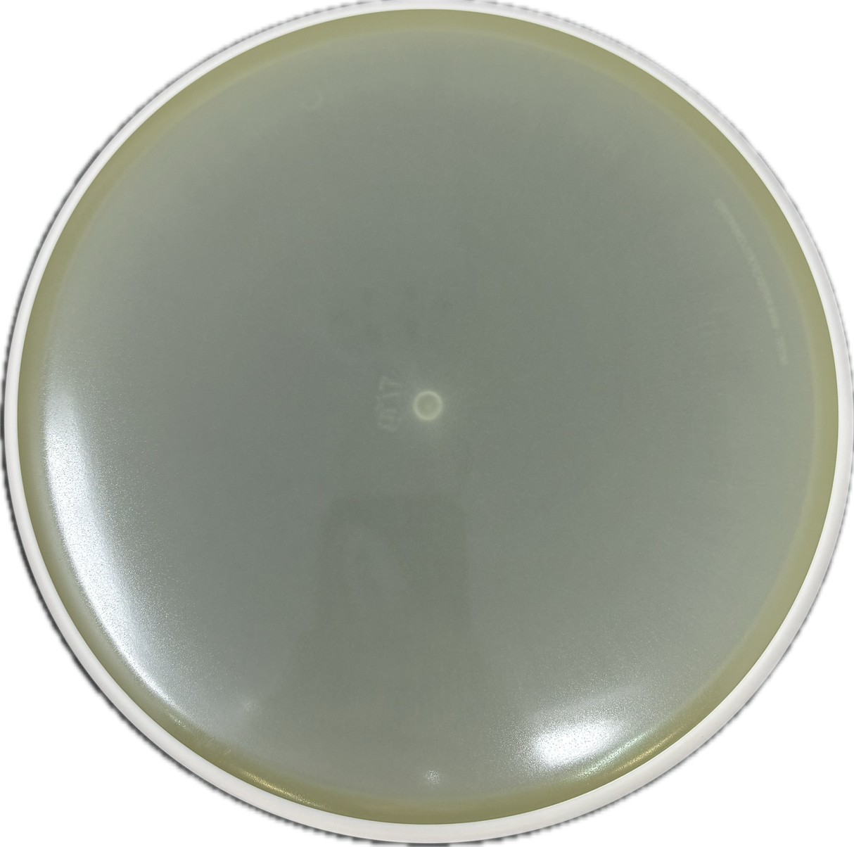 Watt-MVP-Foundation Disc Golf