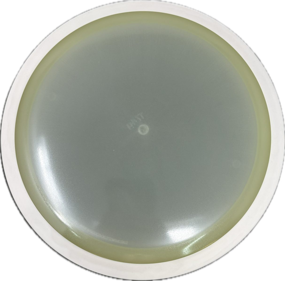 Wave-MVP-Foundation Disc Golf