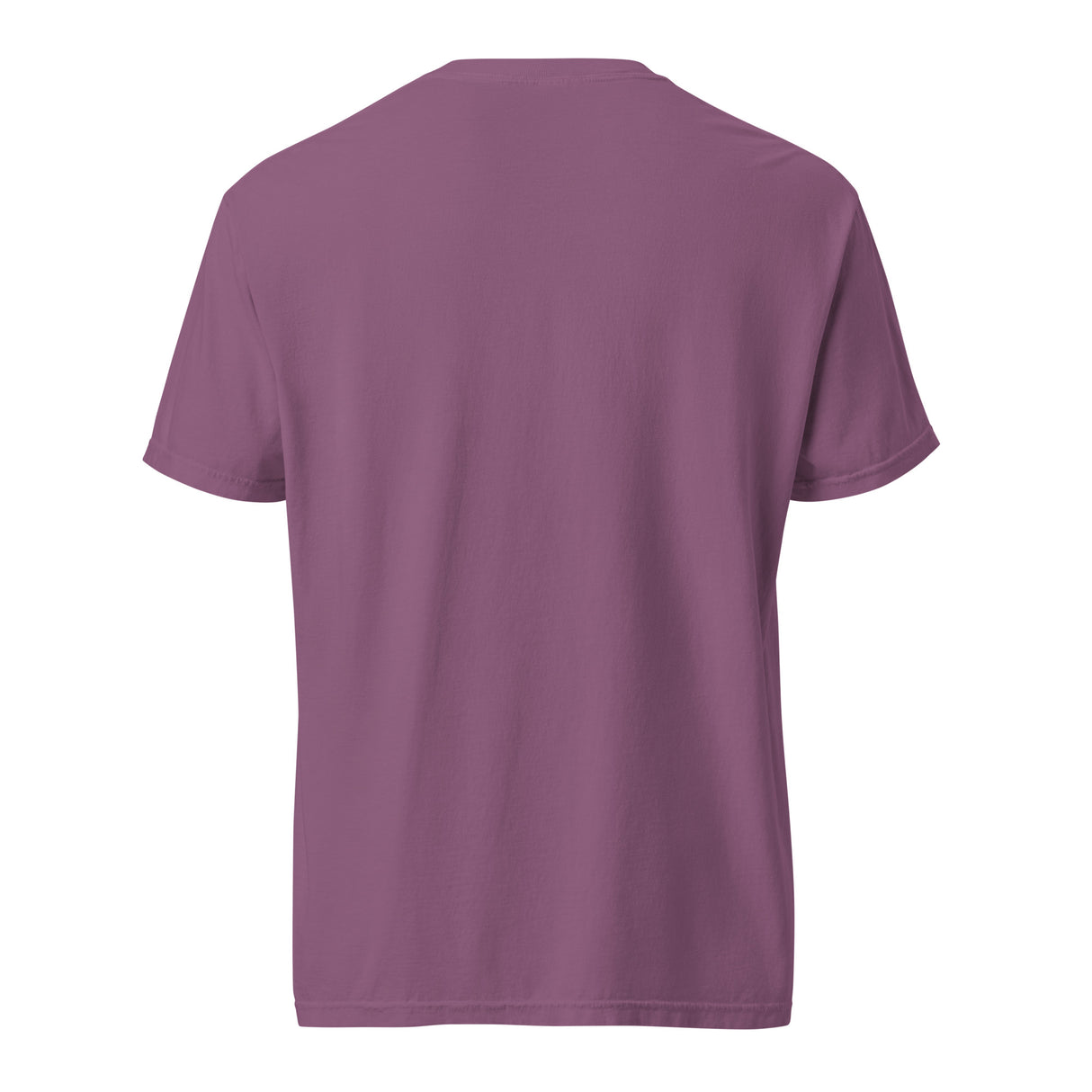 Kons Got It Unisex garment-dyed heavyweight t-shirt