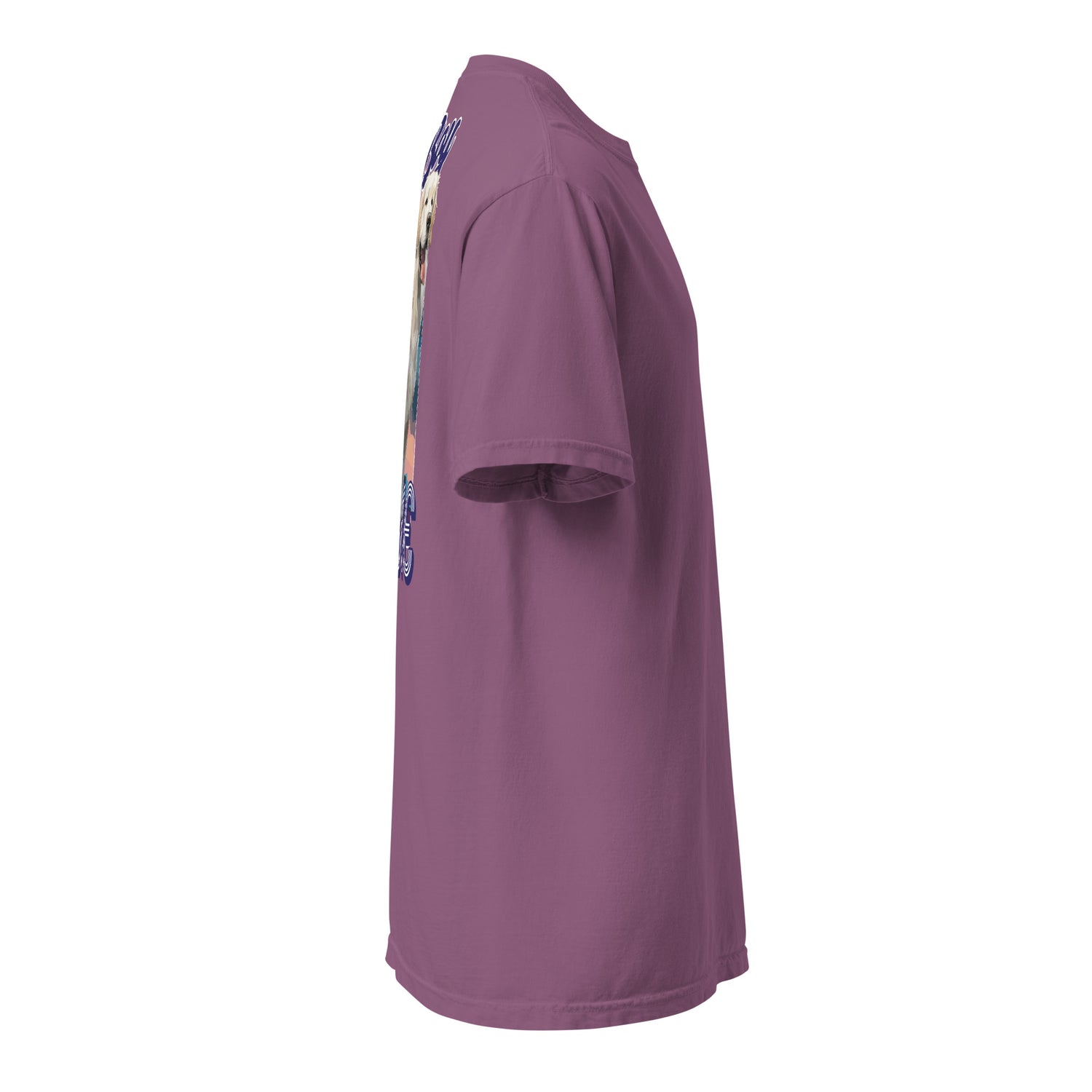 Good Boy Birdie garment-dyed heavyweight t-shirt