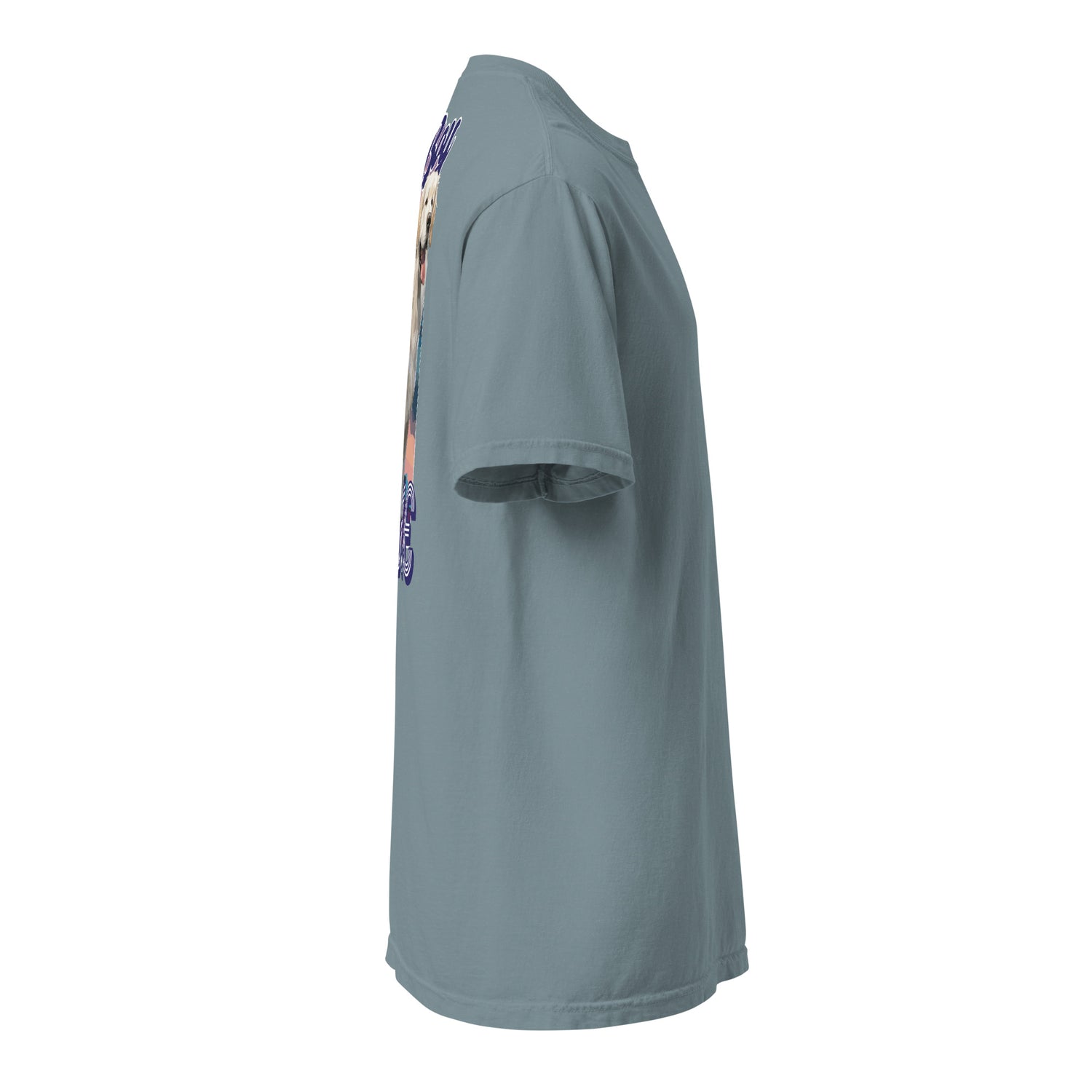 Good Boy Birdie garment-dyed heavyweight t-shirt