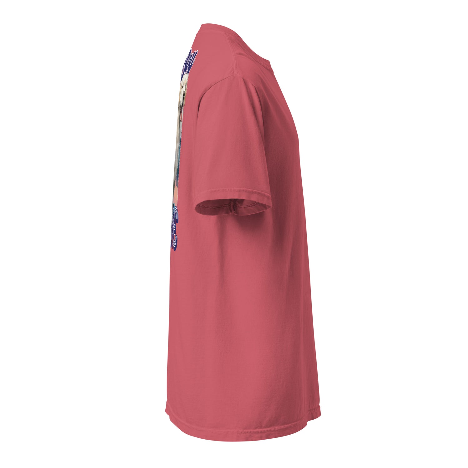 Good Boy Birdie garment-dyed heavyweight t-shirt