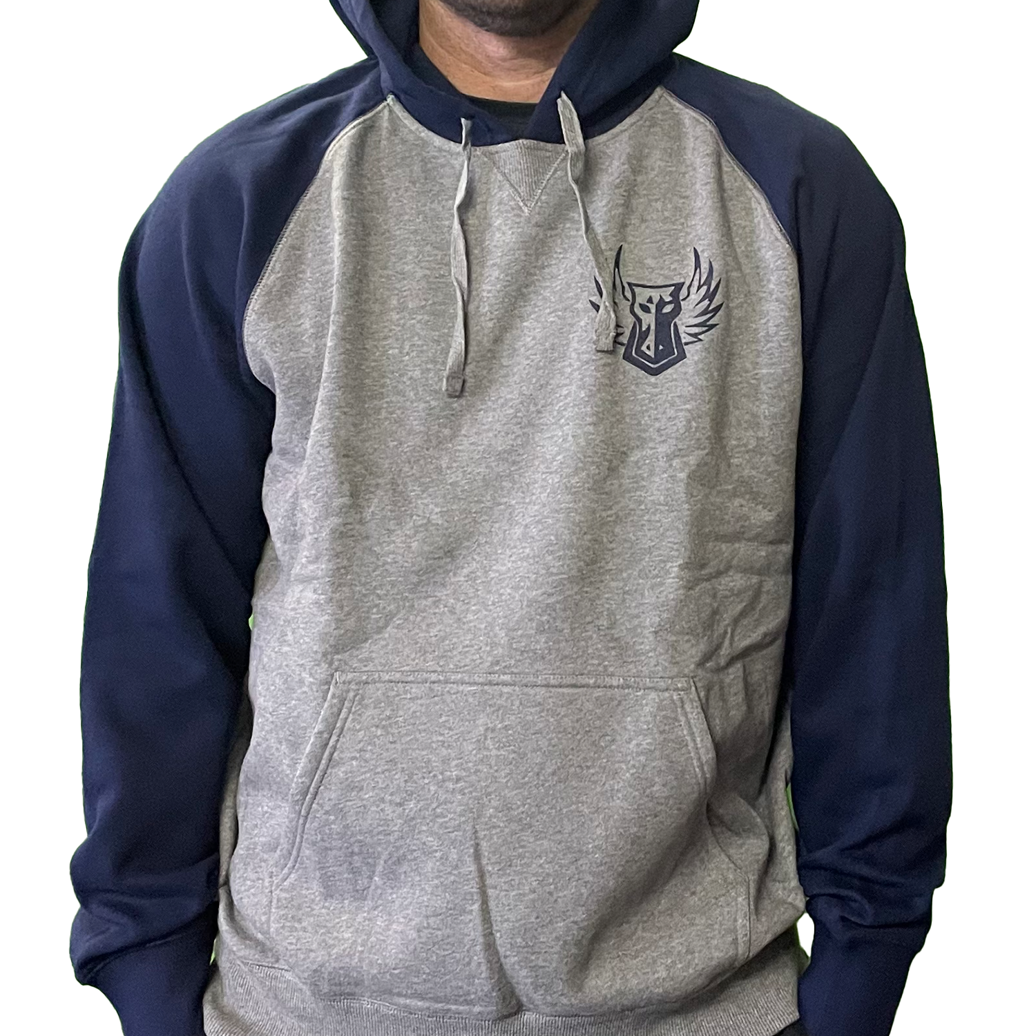 Darkhorse Color-Block Pullover Hoodie