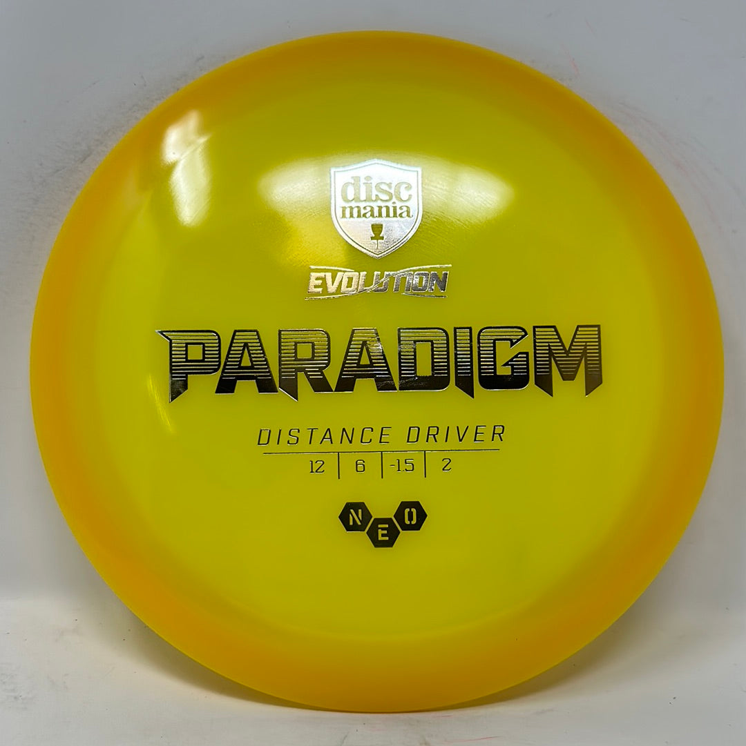 Paradigm-Discmania-Foundation Disc Golf