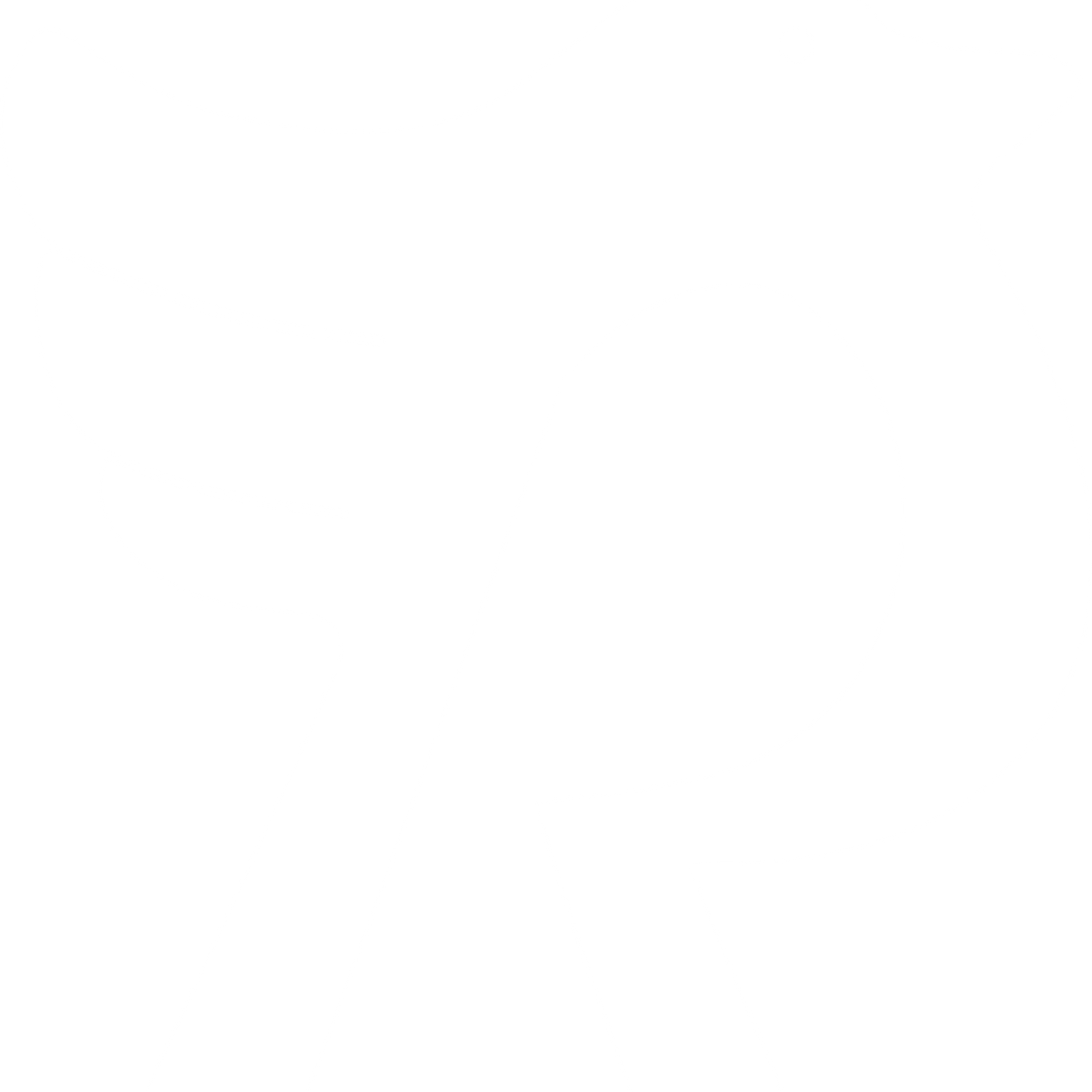 robbie-c-foundation-disc-golf