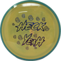 FDG Heck Yeah Balance-MVP-Foundation Disc Golf