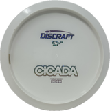 Cicada