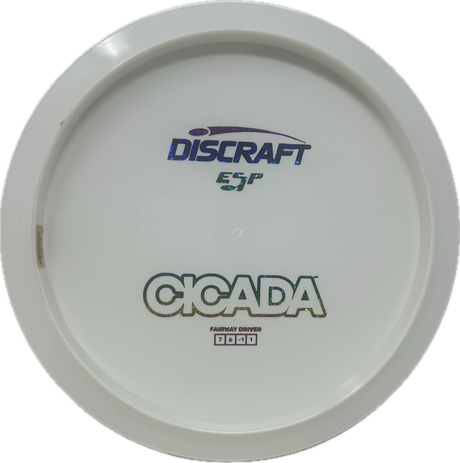 Cicada