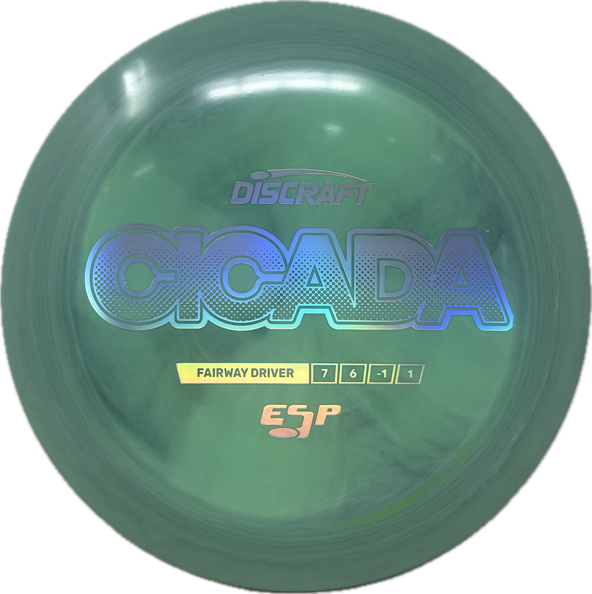 Cicada