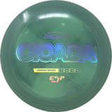 Cicada
