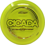 Cicada