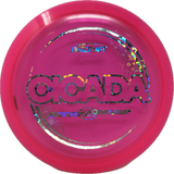 Cicada