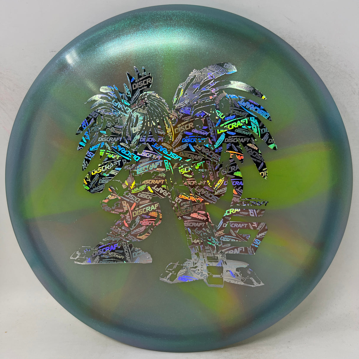 Chris Dickerson - 2024 Robot Chicken Buzzz-Discraft-Foundation Disc Golf