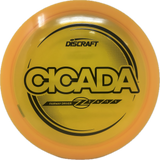 Cicada