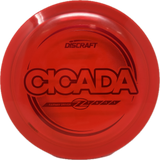 Cicada