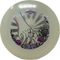 Dynamic Discs