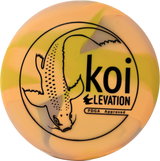 Elevation Koi