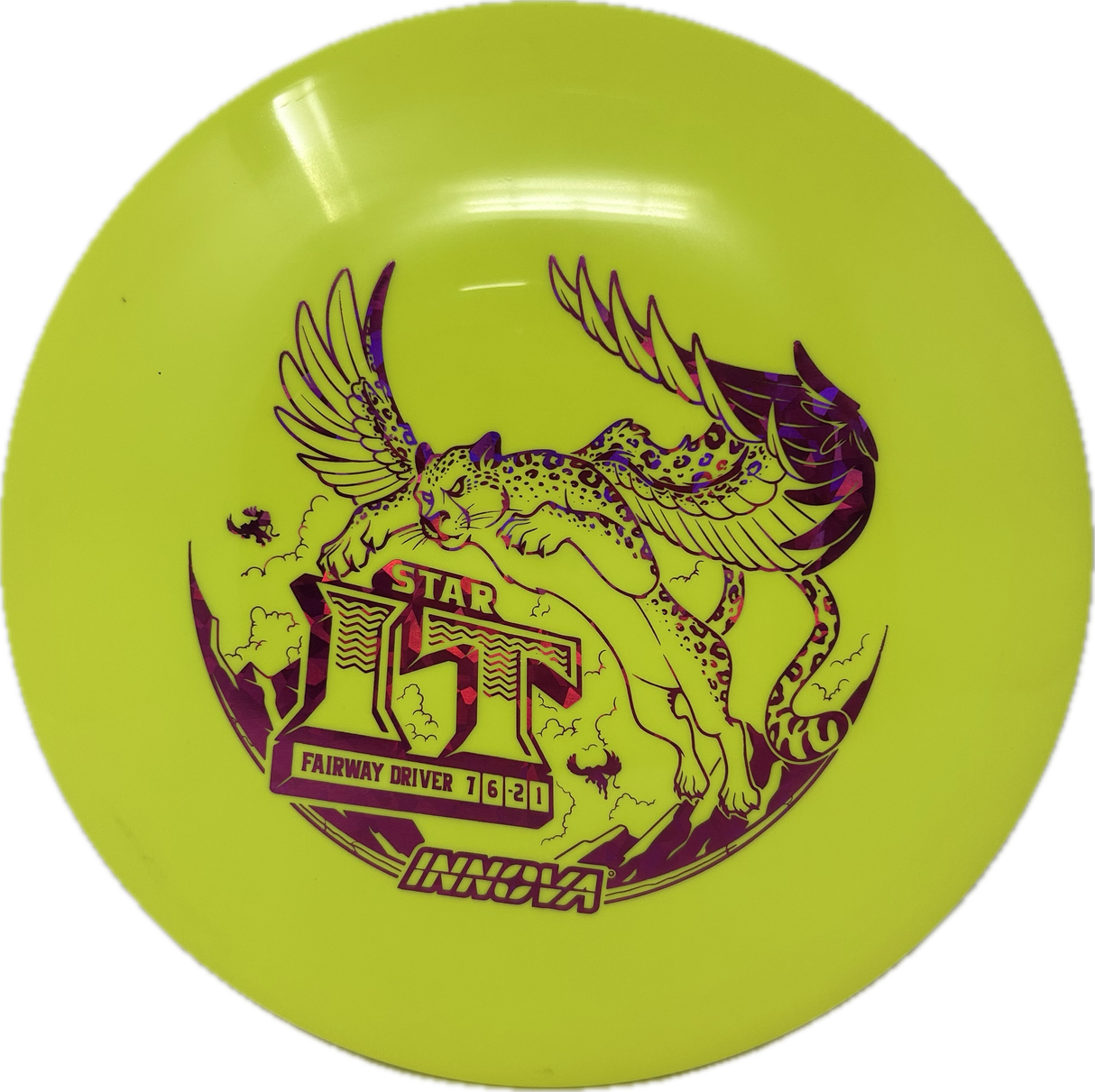IT-Innova-Foundation Disc Golf