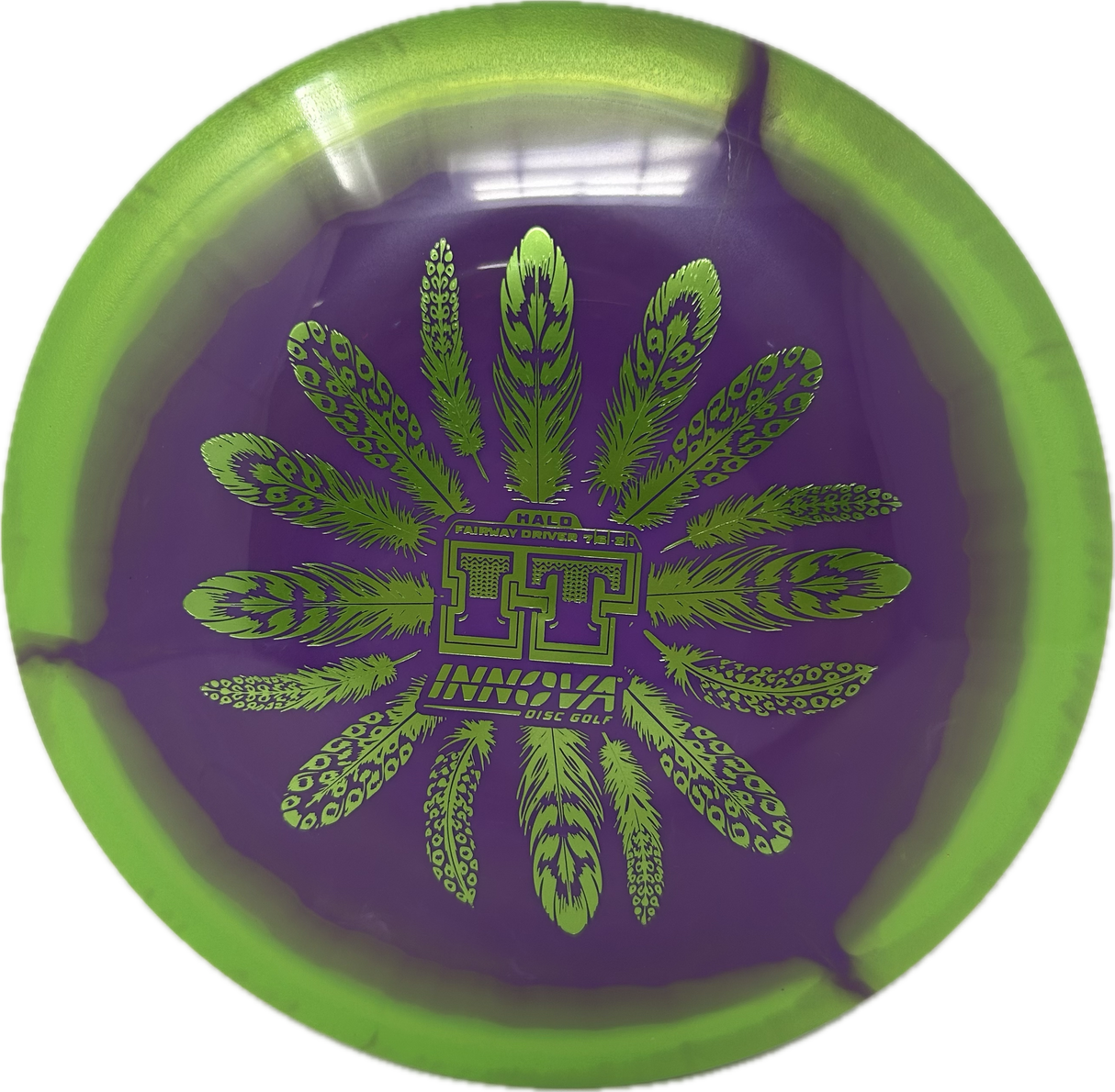 IT-Innova-Foundation Disc Golf