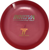IT-Innova-Foundation Disc Golf