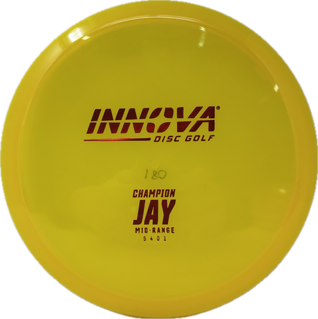 Jay-Innova-Foundation Disc Golf