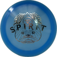 Spirit-Gateway-Foundation Disc Golf