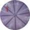 Dynamic Discs