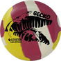 Gecko-Elevation-Foundation Disc Golf