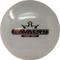Dynamic Discs