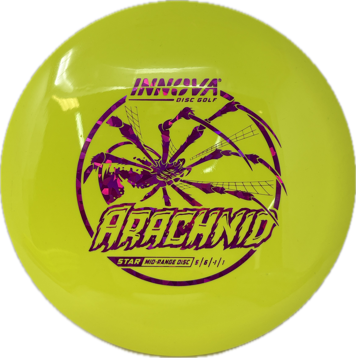 Arachnid-Innova-Foundation Disc Golf