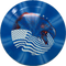 Dynamic Discs