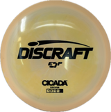 Cicada