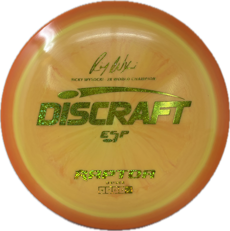 Raptor-Discraft-Foundation Disc Golf