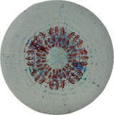 Used Discs-Foundation Disc Golf-Foundation Disc Golf