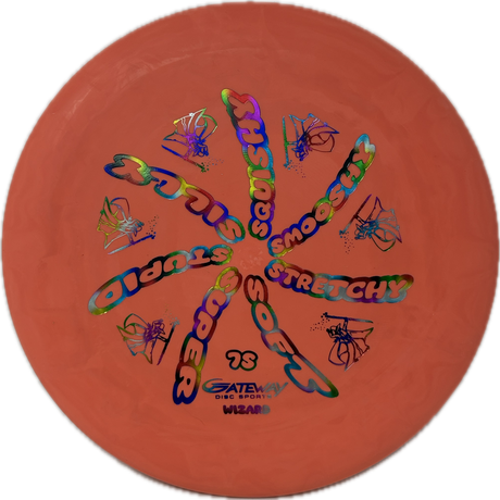 Wizard-Gateway-Foundation Disc Golf