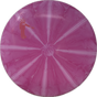 Judge-Dynamic Discs-Foundation Disc Golf